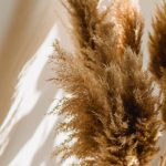 Home Environment - High angle of wicker vase with dried brown plants on floor in room