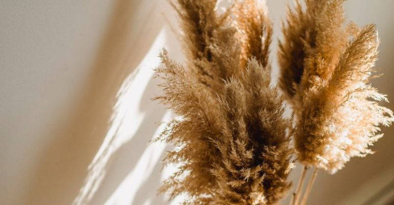 Home Environment - High angle of wicker vase with dried brown plants on floor in room