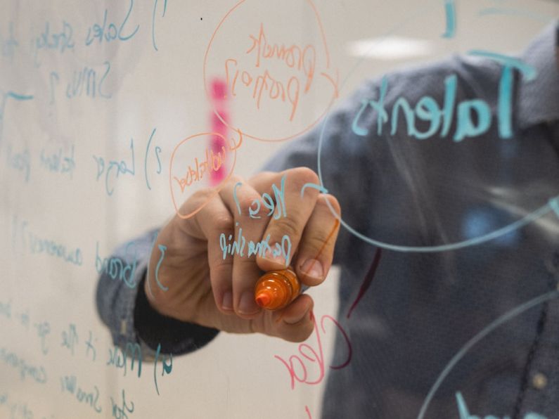 Inovation - person holding orange flower petals