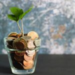 Financial - green plant in clear glass vase