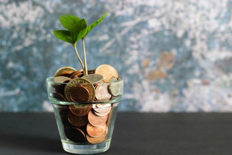 Financial - green plant in clear glass vase